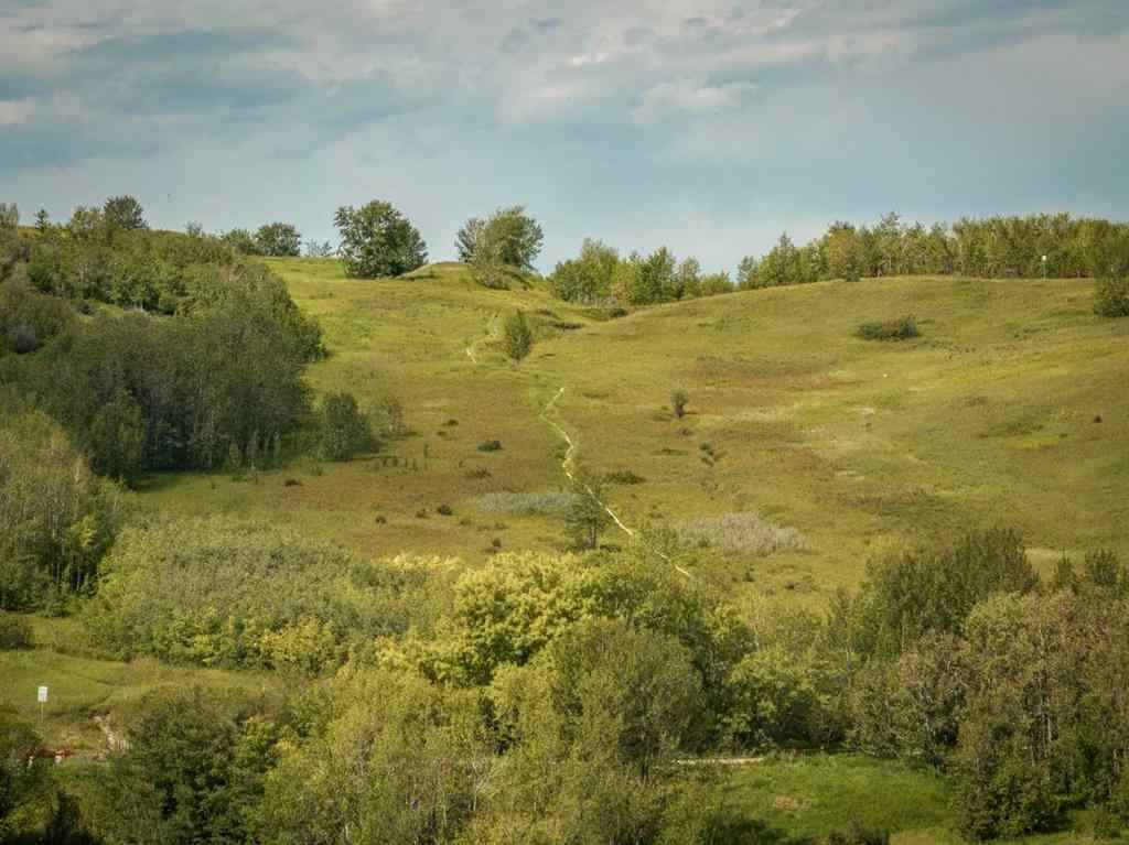 MLS® A2265366 - 5023 Nemiskam Road NW in North Haven Calgary, Residential