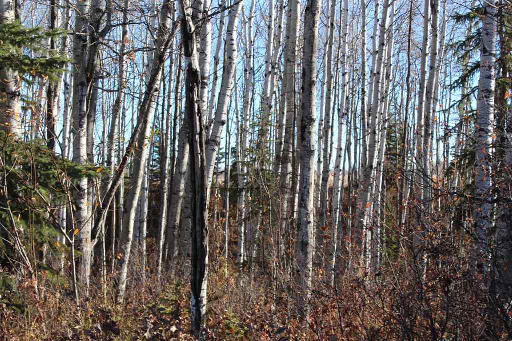 MLS® A2265457 - Unit #913007 Range Road 222   in NONE Rural Northern Lights, County of, Residential