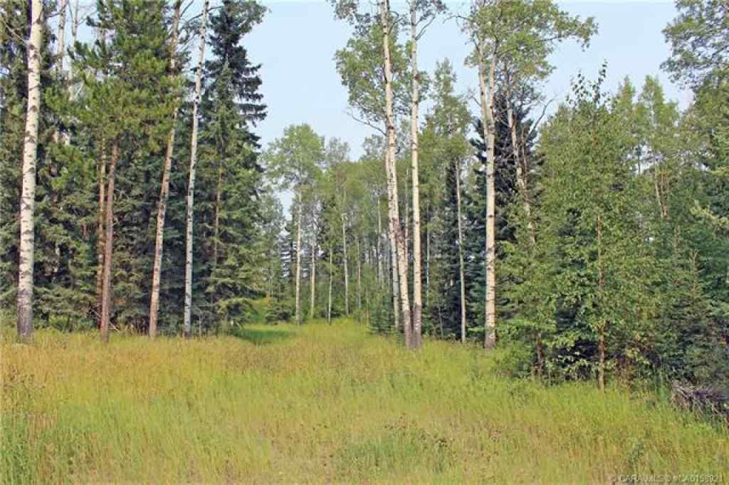 MLS® A2265467 - 5 Ridgeland Road  in Ridgeland Estates Rural Clearwater County, Land