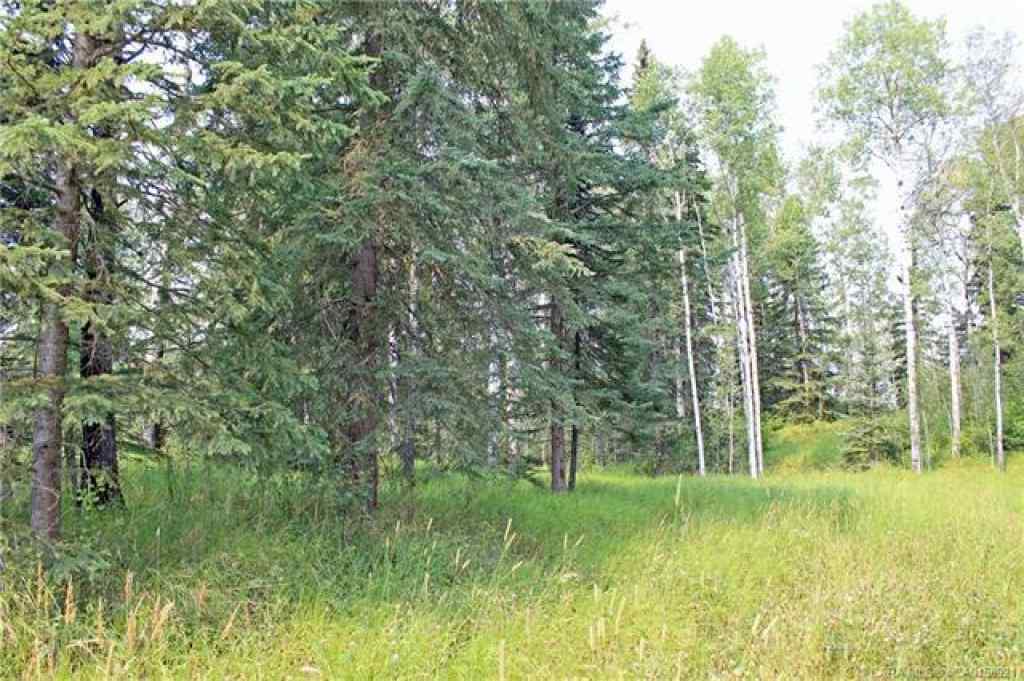 MLS® A2265467 - 5 Ridgeland Road  in Ridgeland Estates Rural Clearwater County, Land