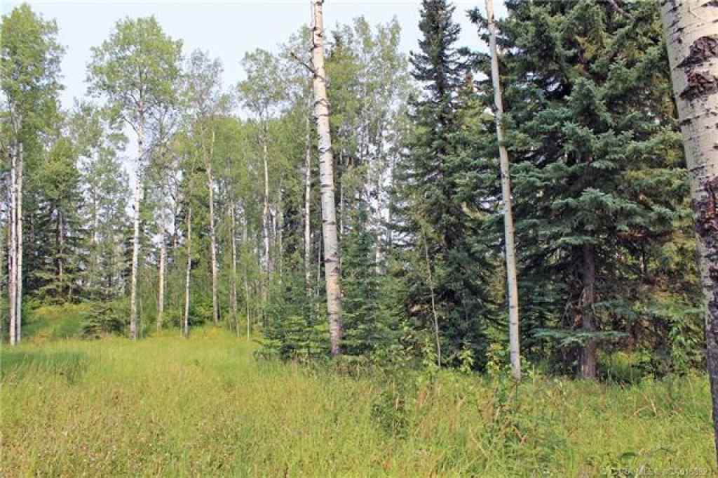 MLS® A2265467 - 5 Ridgeland Road  in Ridgeland Estates Rural Clearwater County, Land