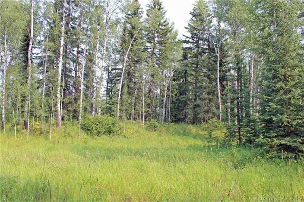 MLS® A2265467 - 5 Ridgeland Road  in Ridgeland Estates Rural Clearwater County, Land