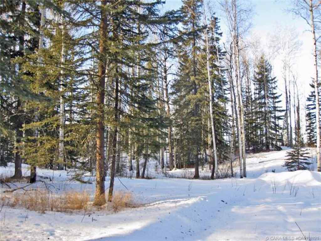 MLS® A2265467 - 5 Ridgeland Road  in Ridgeland Estates Rural Clearwater County, Land