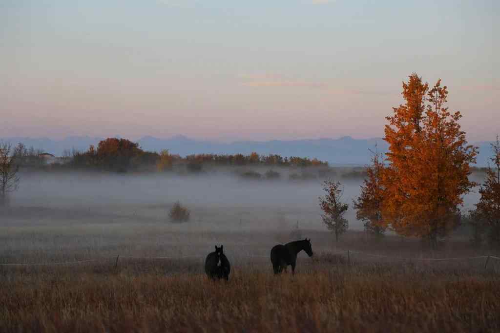 MLS® A2265604 - 41031 Camden Lane   in NONE Rural Rocky View County, Residential