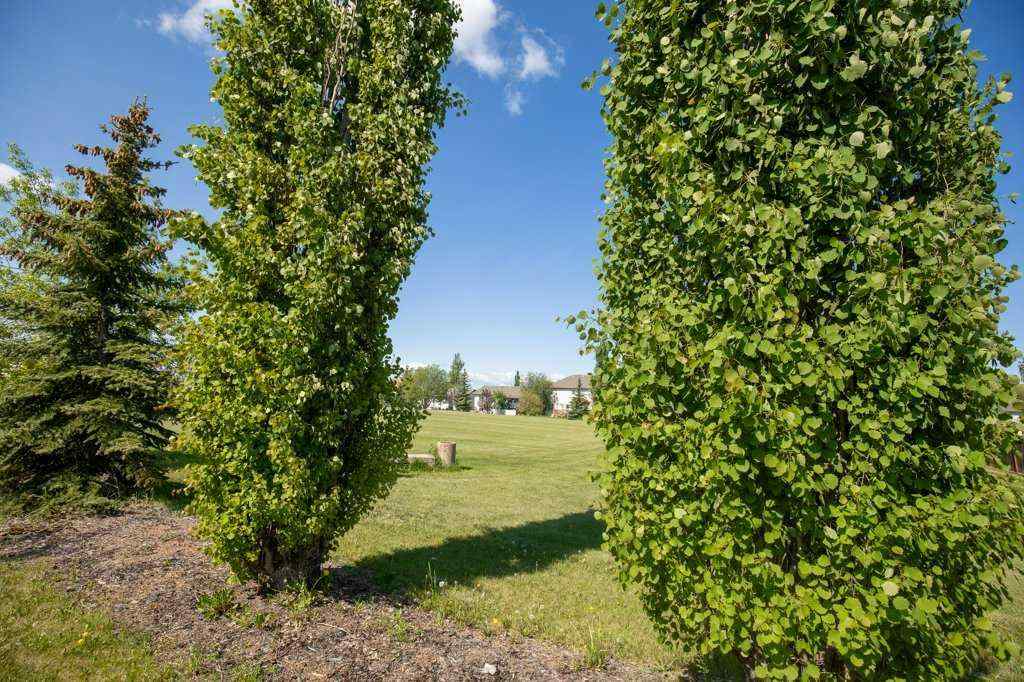 MLS® A2265667 - 431 Carriage Lane Crossing  in NONE Carstairs, Residential