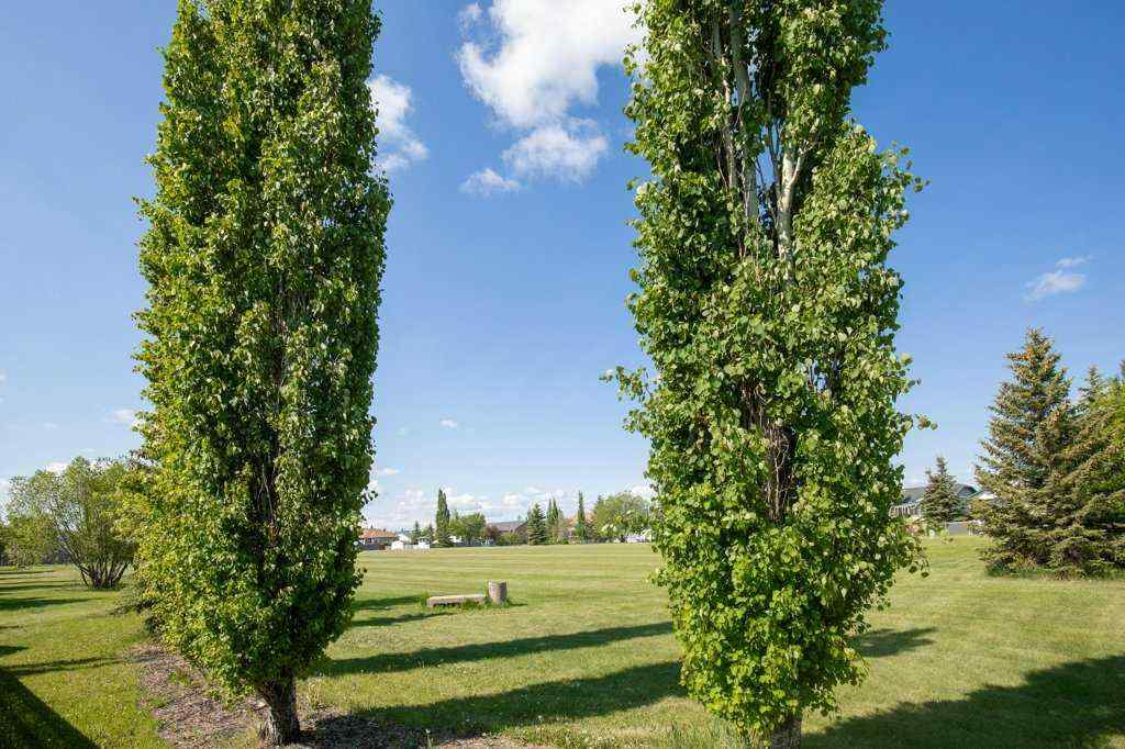 MLS® A2265667 - 431 Carriage Lane Crossing  in NONE Carstairs, Residential