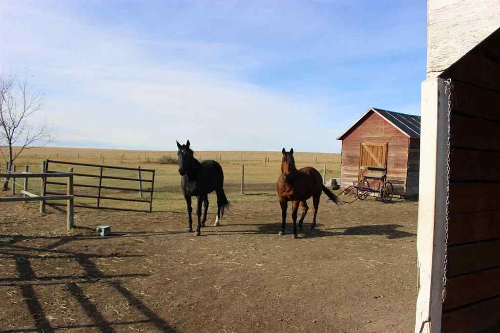 MLS® A2265691 - 103004 RR 24-0   in NONE Monarch, Residential