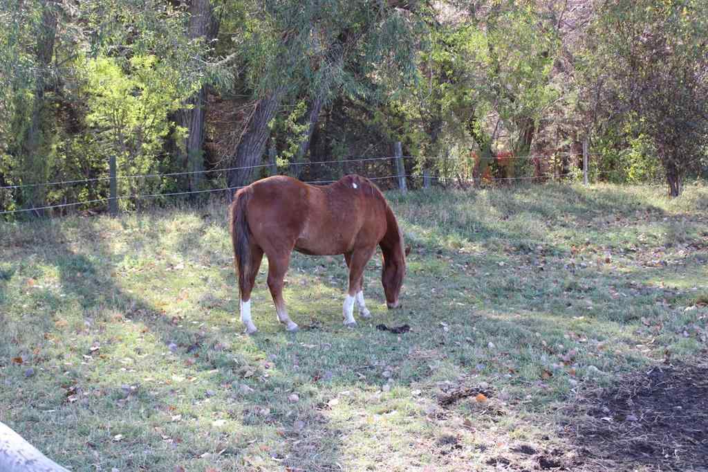 MLS® A2265691 - 103004 RR 24-0   in NONE Monarch, Residential