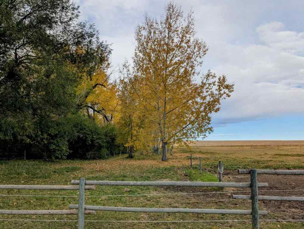 MLS® A2265691 - 103004 RR 24-0   in NONE Monarch, Residential