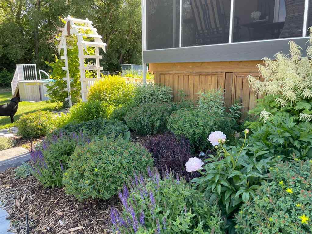 MLS® A2265691 - 103004 RR 24-0   in NONE Monarch, Residential