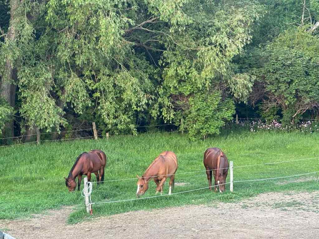 MLS® A2265691 - 103004 RR 24-0   in NONE Monarch, Residential