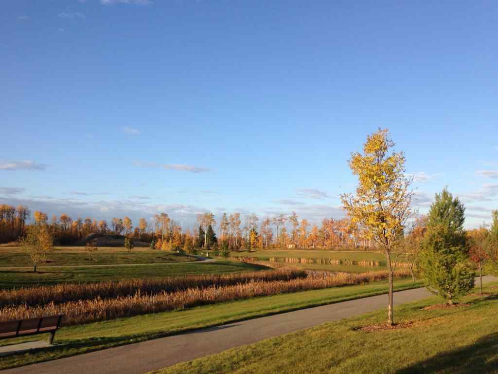 MLS® A2265715 - On 106 Street  in Stone Ridge Grande Prairie, Commercial