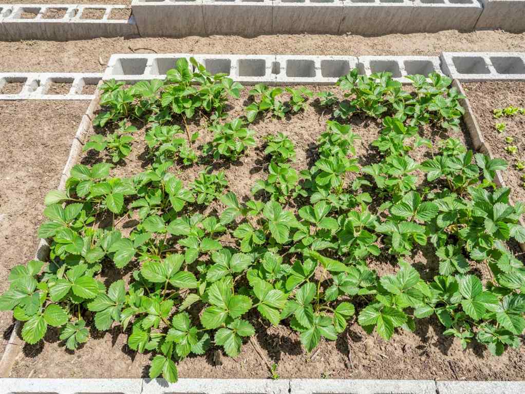 MLS® A2265779 - 436 3 Street W in NONE Empress, Residential