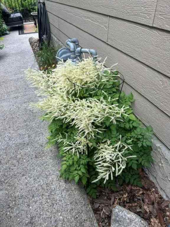 MLS® A2266012 - 3520 44A Avenue  in Mountview Red Deer, Residential