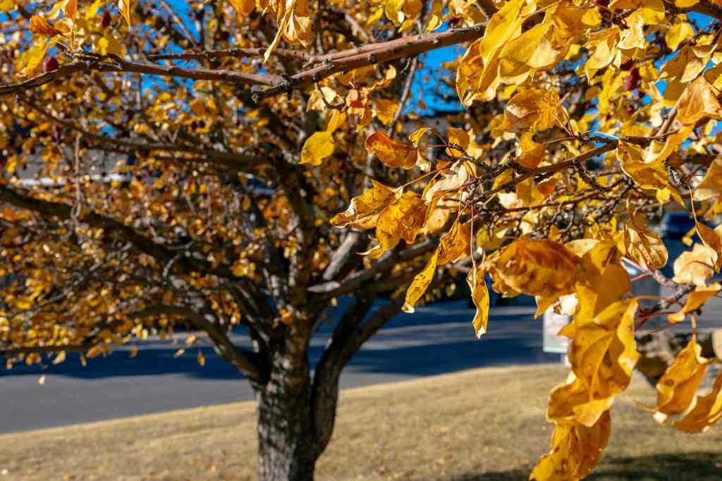 MLS® A2266014 - 118 Sienna Hills Drive SW in Signal Hill Calgary, Residential