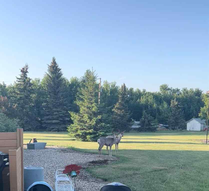 MLS® A2266061 - 41243 Range Road 205   in NONE Rural Camrose County, Residential