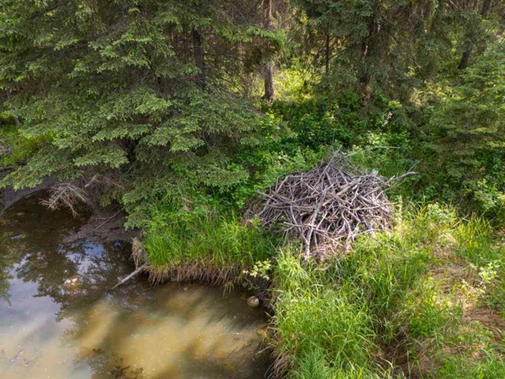 MLS® A2266109 -  NW 5-35-2-5   in Silver Lagoon Rural Red Deer County, Land