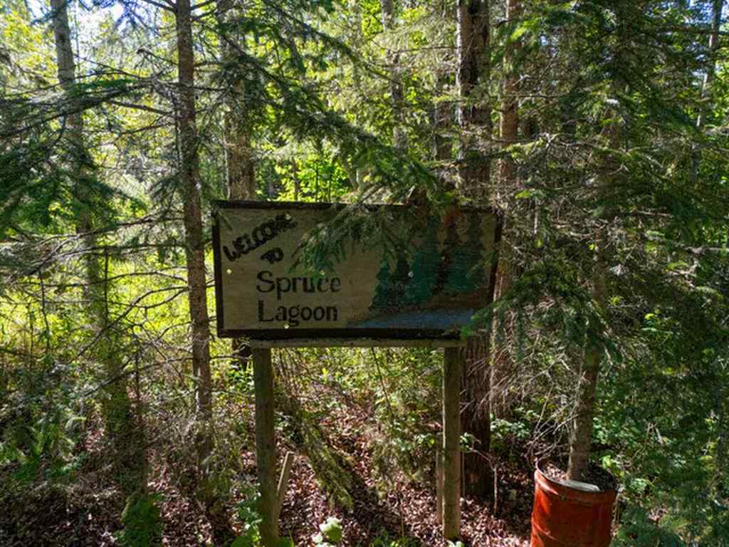 MLS® A2266109 -  NW 5-35-2-5   in Silver Lagoon Rural Red Deer County, Land