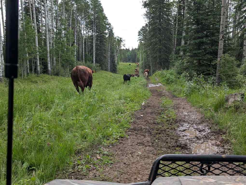 MLS® A2266112 - 8 RANGE ROAD   in NONE Rocky Mountain House, Agri-Business