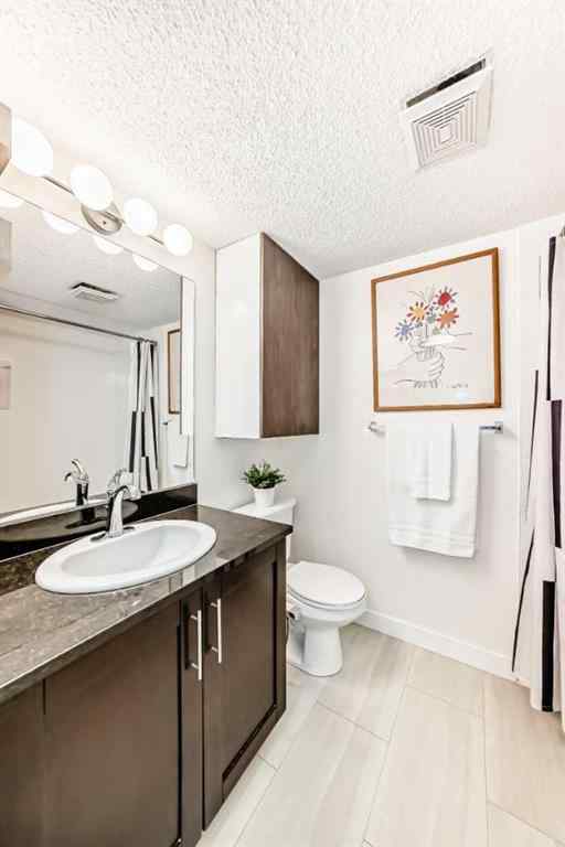 MLS® A2266138 - Unit #4213 1317 27 Street SE in Albert Park/Radisson Heights Calgary, Residential