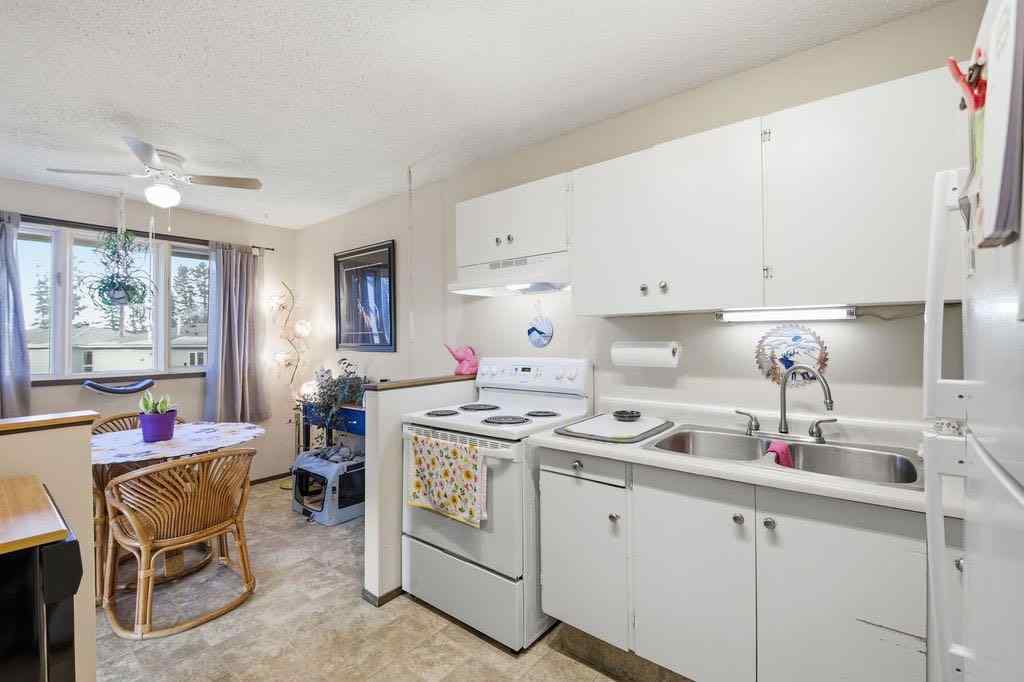 MLS® A2266239 - 121 Powell Street  in East End Cochrane, Multi-Family