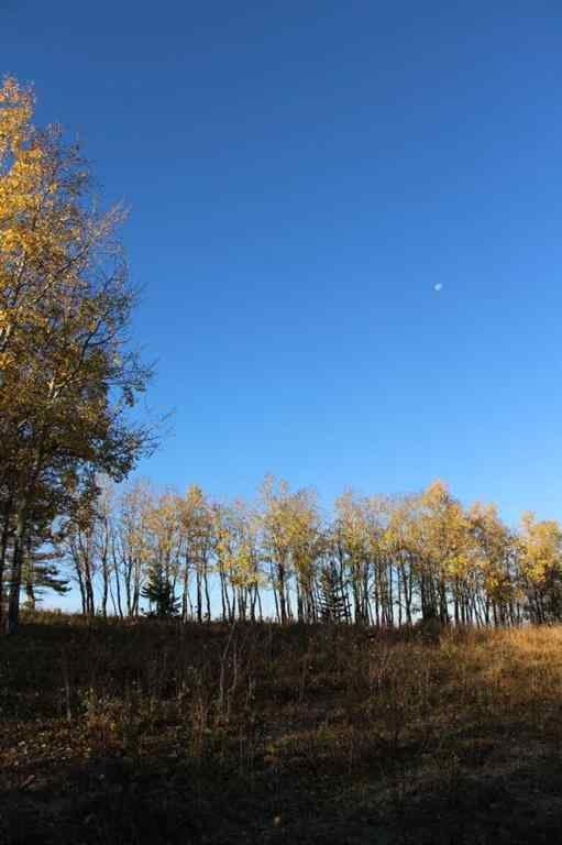 MLS® A2266323 -  NE-17-24-04-W05M   in NONE Rural Rocky View County, Land