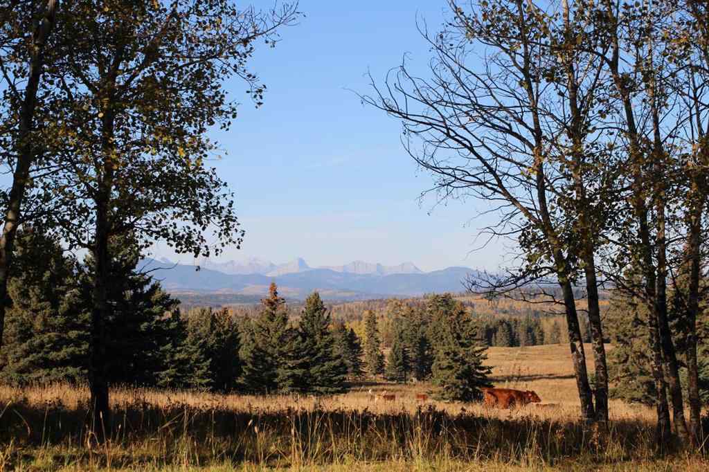 MLS® A2266323 -  NE-17-24-04-W05M   in NONE Rural Rocky View County, Land