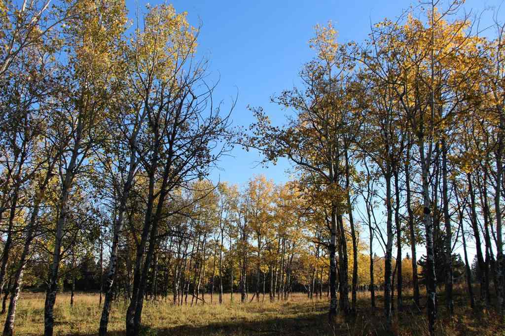 MLS® A2266323 -  NE-17-24-04-W05M   in NONE Rural Rocky View County, Land