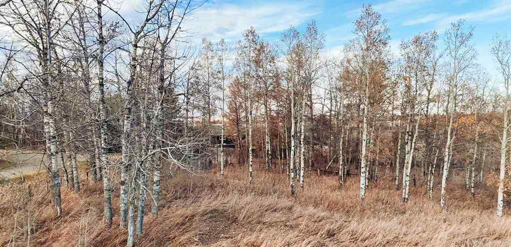 MLS® A2266399 -  Rge Rd 32A   in NONE Rural Mountain View County, Land