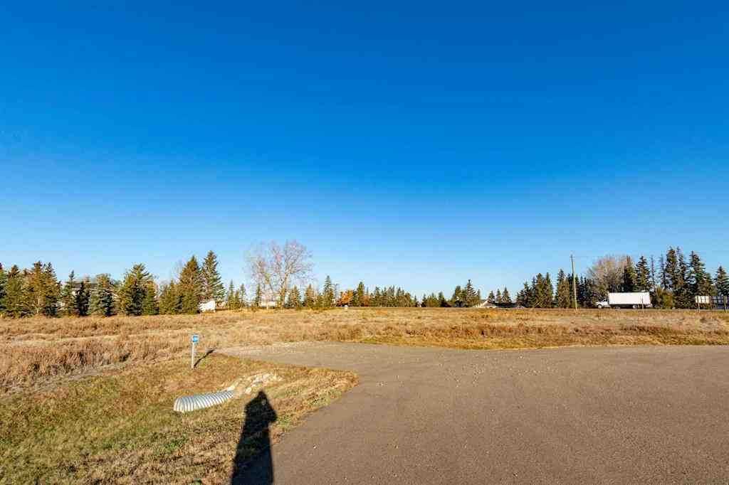MLS® A2266443 - 4204 38A Street Close  in NONE Rural Stettler No. 6, County of, Land