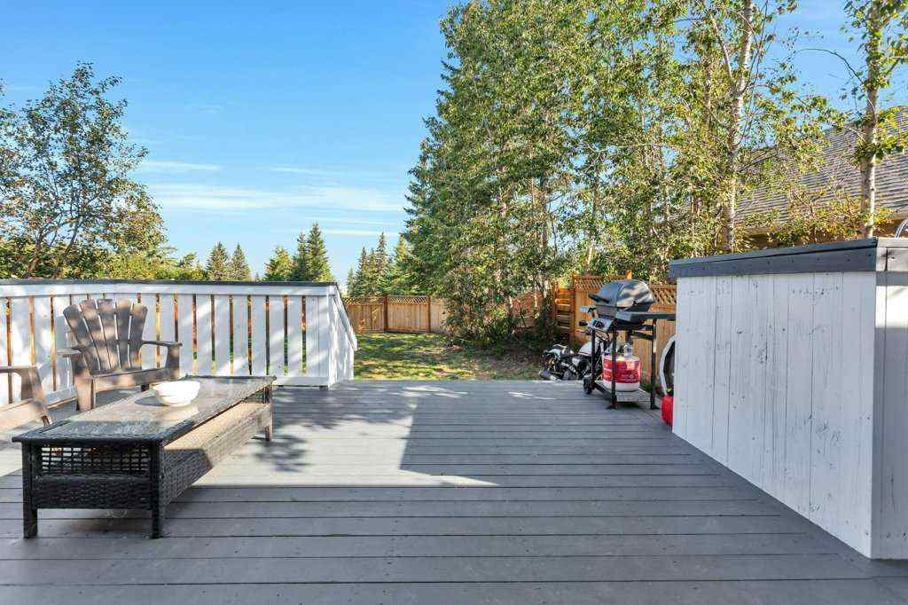 MLS® A2266496 - 101 Lakeview Avenue  in NONE Gull Lake, Residential