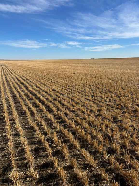 MLS® A2266529 - on RR 224   in NONE Barons, Land