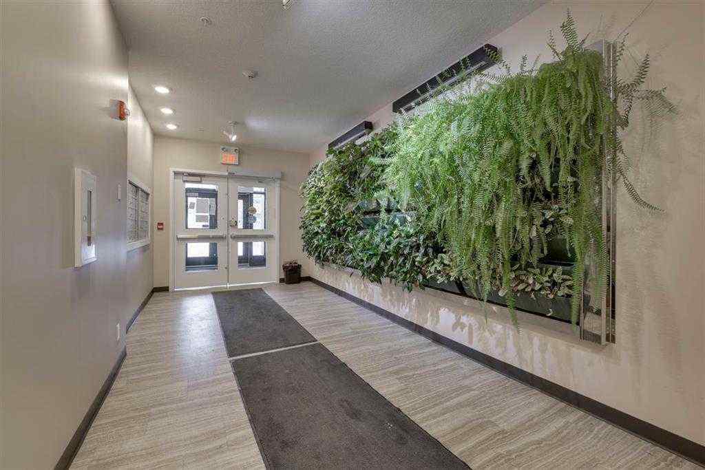 MLS® A2266551 - Unit #107 10006 83 Avenue NW in Strathcona Edmonton, Rental