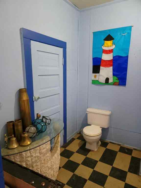 MLS® A2266669 - 110 1 Avenue E in NONE Craigmyle, Residential