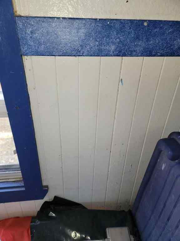 MLS® A2266669 - 110 1 Avenue E in NONE Craigmyle, Residential