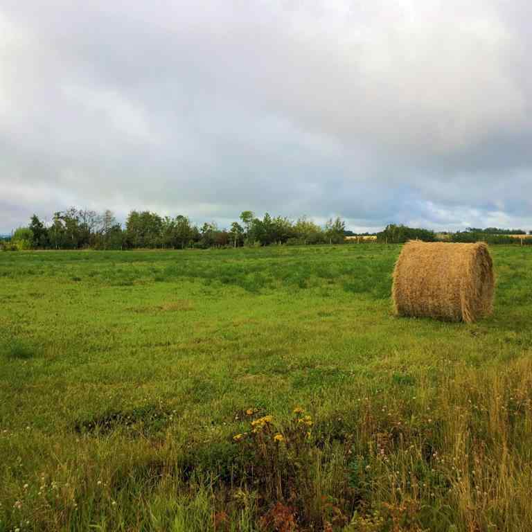 MLS® A2266769 - 42 713019 Range Road 71   in NONE Rural Grande Prairie No. 1, County of, Land