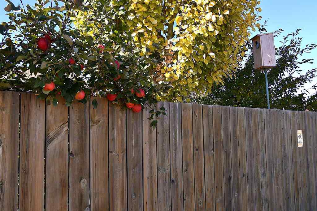 MLS® A2266822 - 164 upland Avenue  in Uplands Brooks, Residential