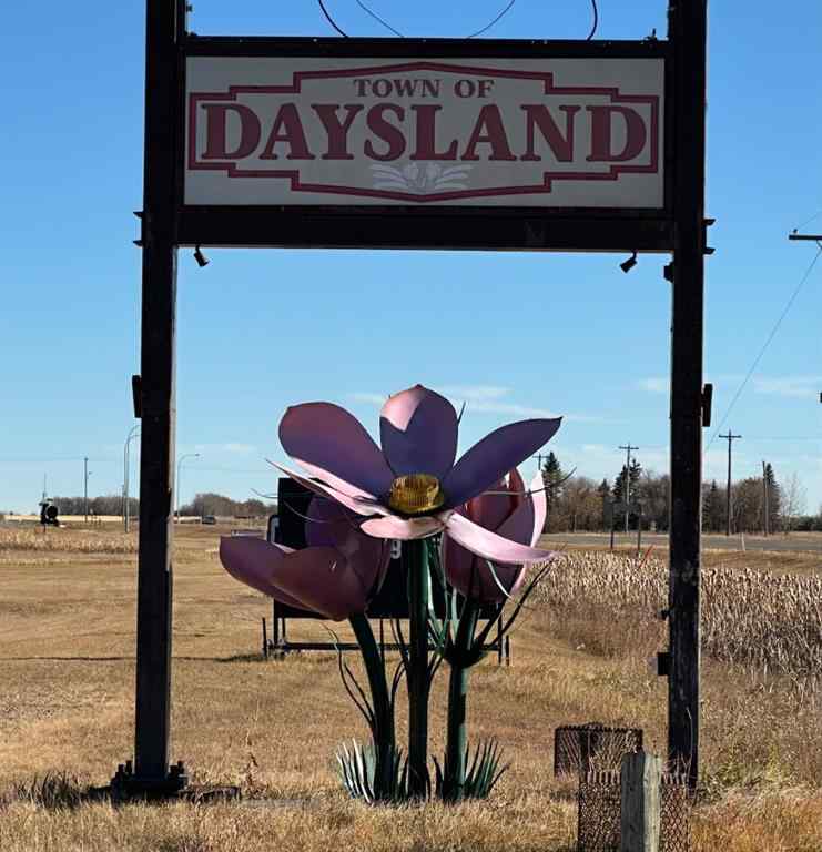 MLS® A2266837 - 4601 50 Avenue  in Daysland Daysland, Residential