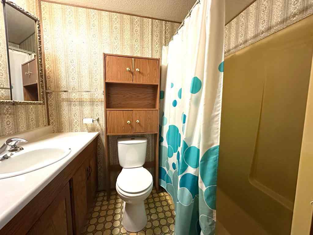 MLS® A2266837 - 4601 50 Avenue  in Daysland Daysland, Residential