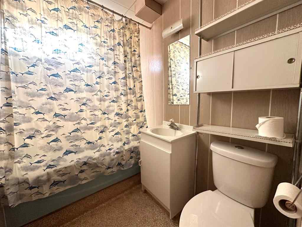 MLS® A2266837 - 4601 50 Avenue  in Daysland Daysland, Residential