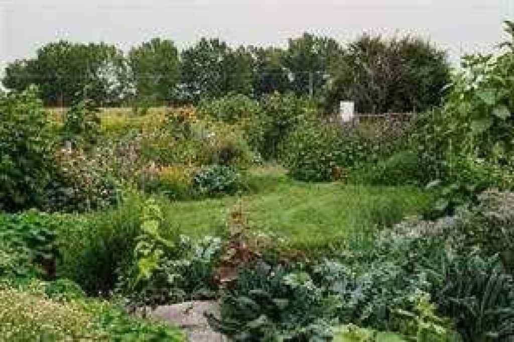 MLS® A2266846 - 264169 Range Road 273   in NONE Kathyrn, Residential