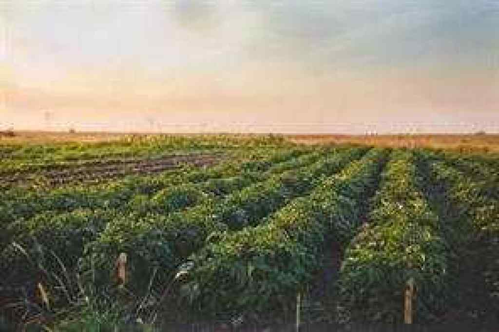 MLS® A2266846 - 264169 Range Road 273   in NONE Kathyrn, Residential