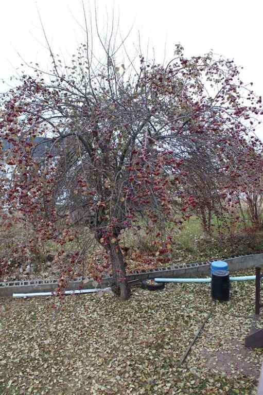 MLS® A2266881 - 800 2nd Street SE in NONE Manning, Residential