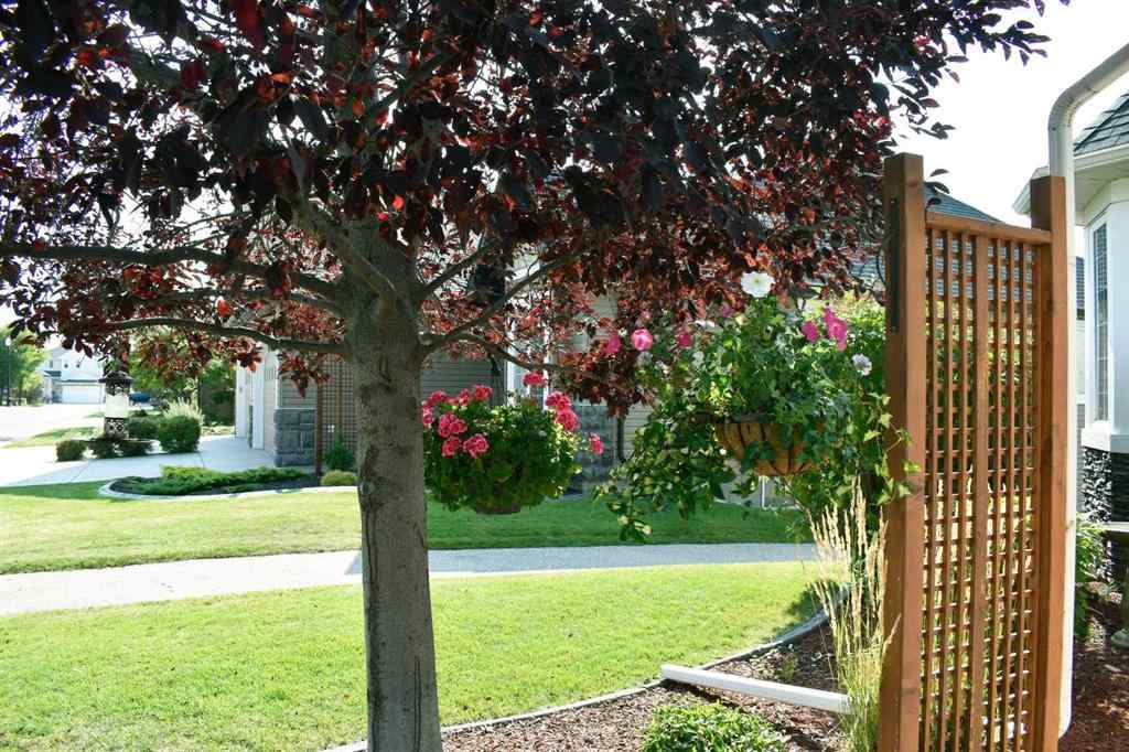 MLS® A2266892 - 160 SIENNA Passage  in Rainbow Falls Chestermere, Residential