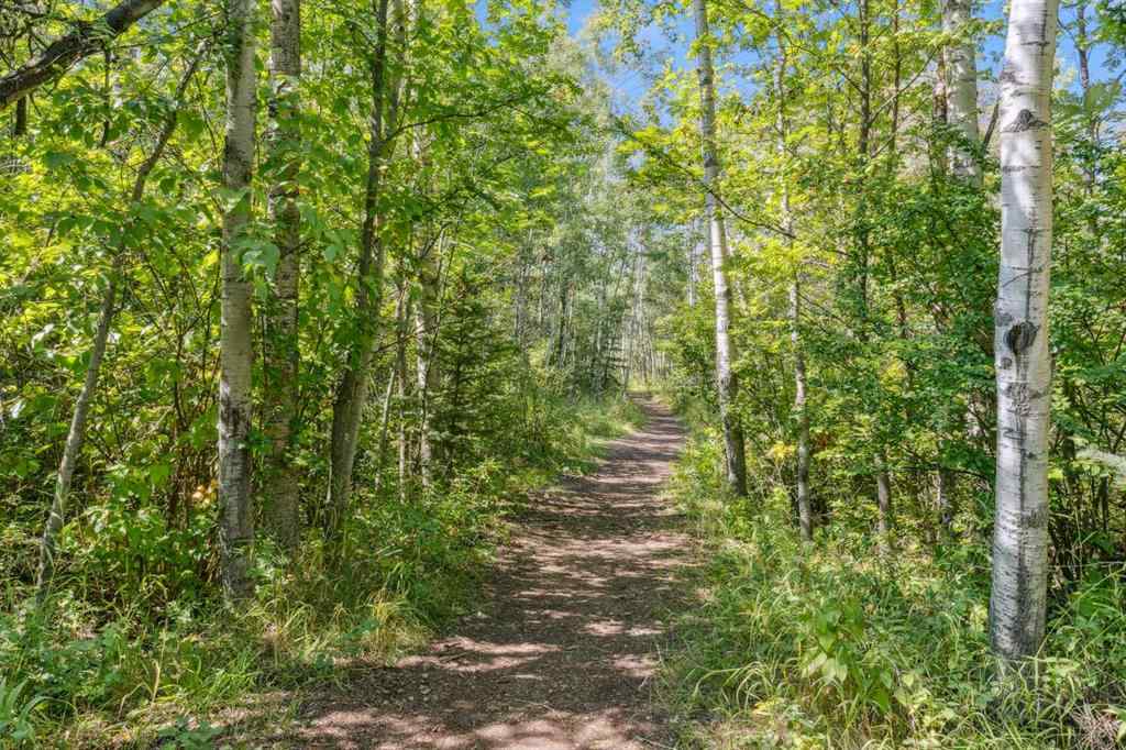 MLS® A2266894 - 5812 63 Avenue  in NONE Olds, Residential