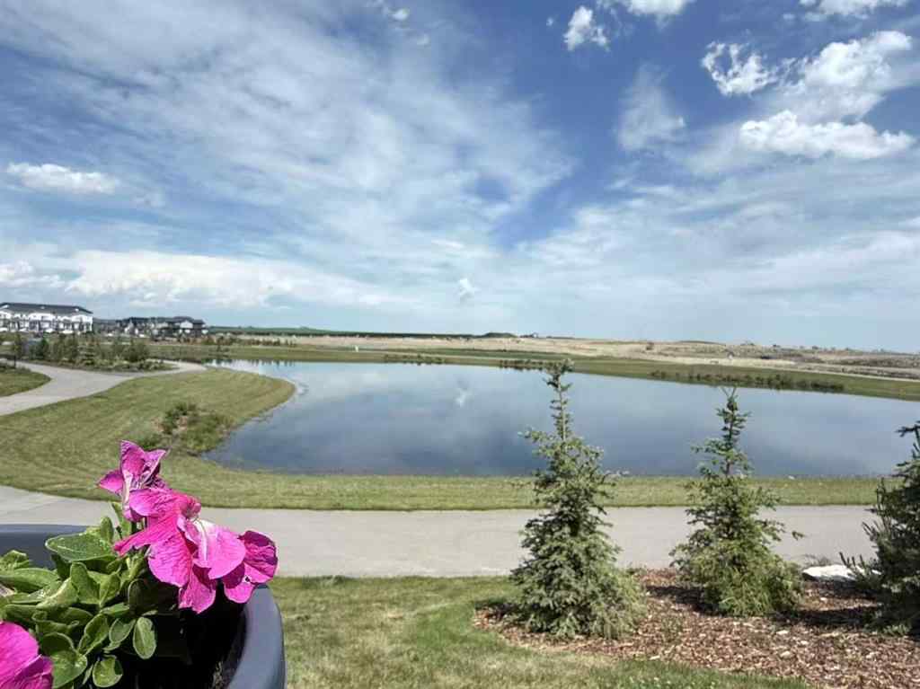 MLS® A2267013 - 156 Ambleside Crescent NW in Moraine Calgary, Residential