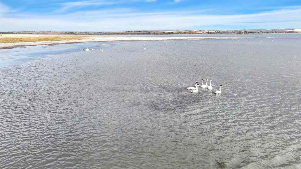 MLS® A2267015 - Unit #16 12040 Township Road 422   in NONE Rimbey, Land