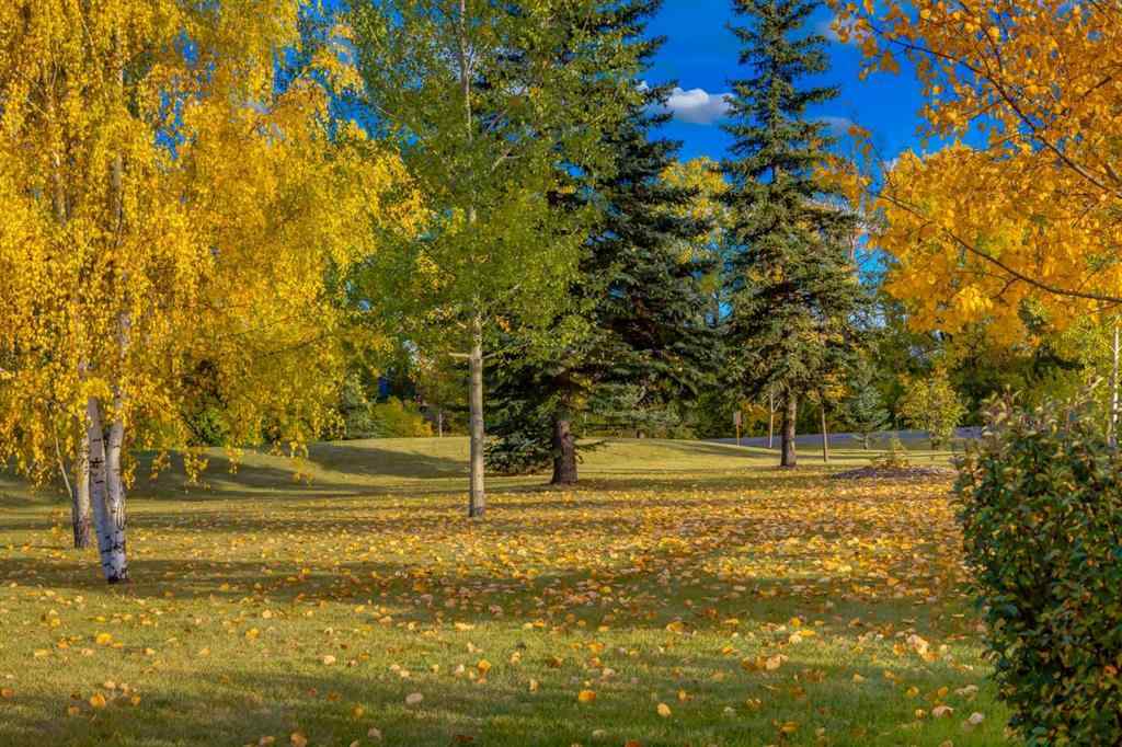 MLS® A2267027 - 3 Gracewood Grove  in Gracewood Rural Rocky View County, Residential