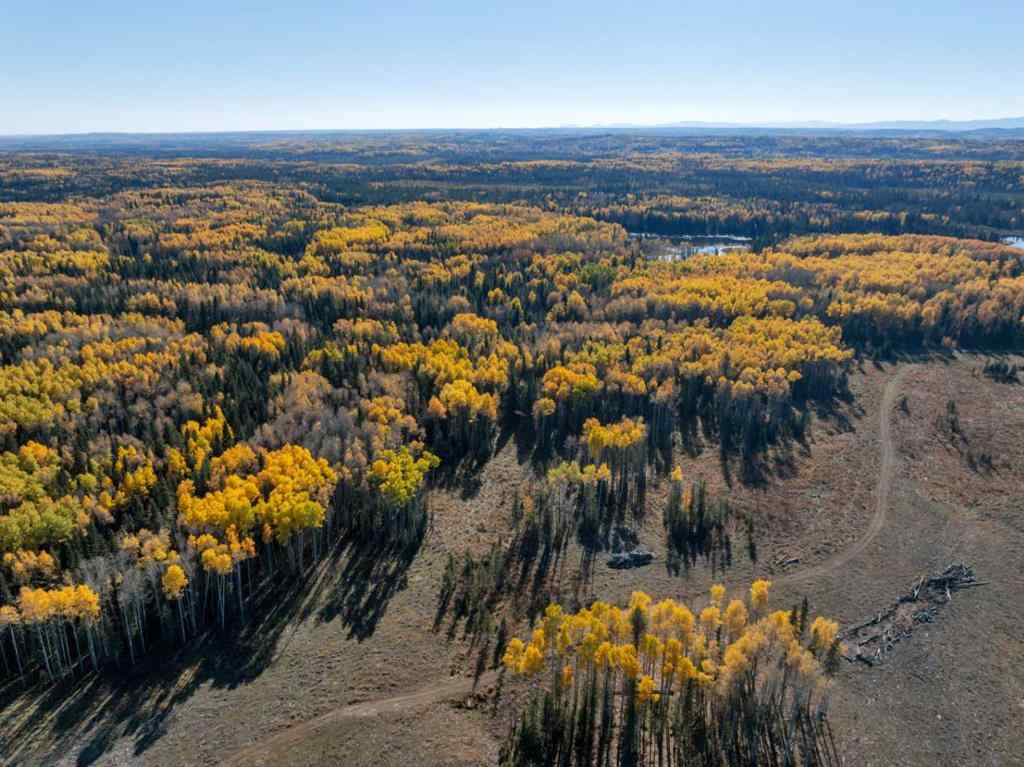 MLS® A2267049 -  5;9;39;23;NE   in NONE Rural Clearwater County, Land