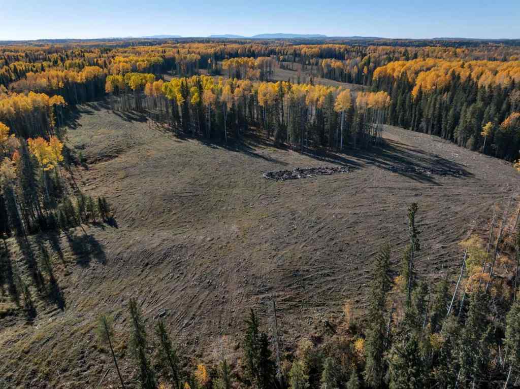 MLS® A2267049 -  5;9;39;23;NE   in NONE Rural Clearwater County, Land